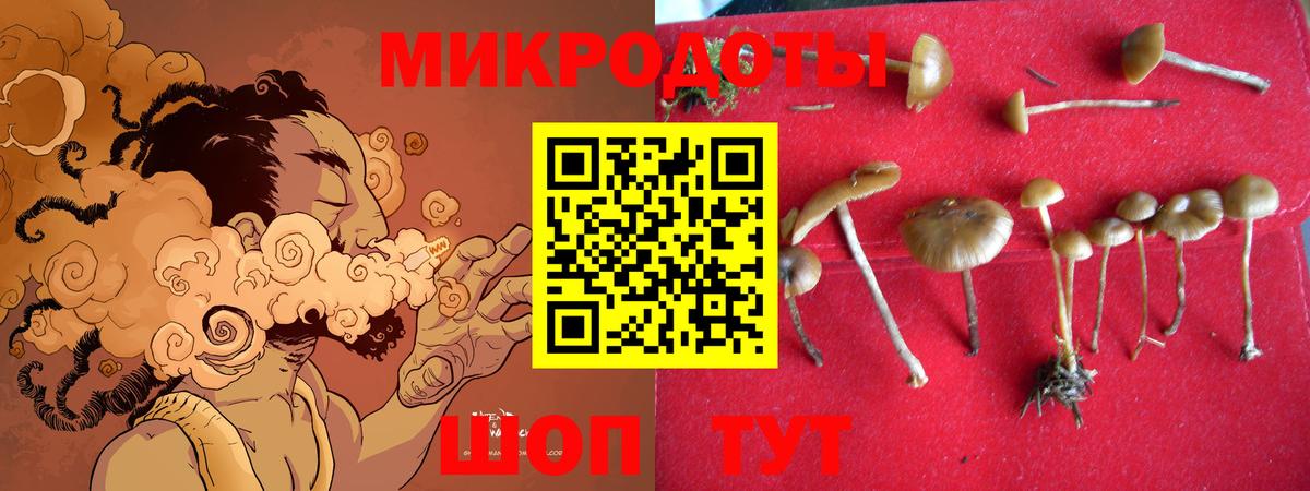 Котельники  Псилоцибиновые грибы ЛСД  Вход с VPN 
